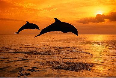 《糟糕！他们太爱我了怎么办？》Steam版发售 售14.4元